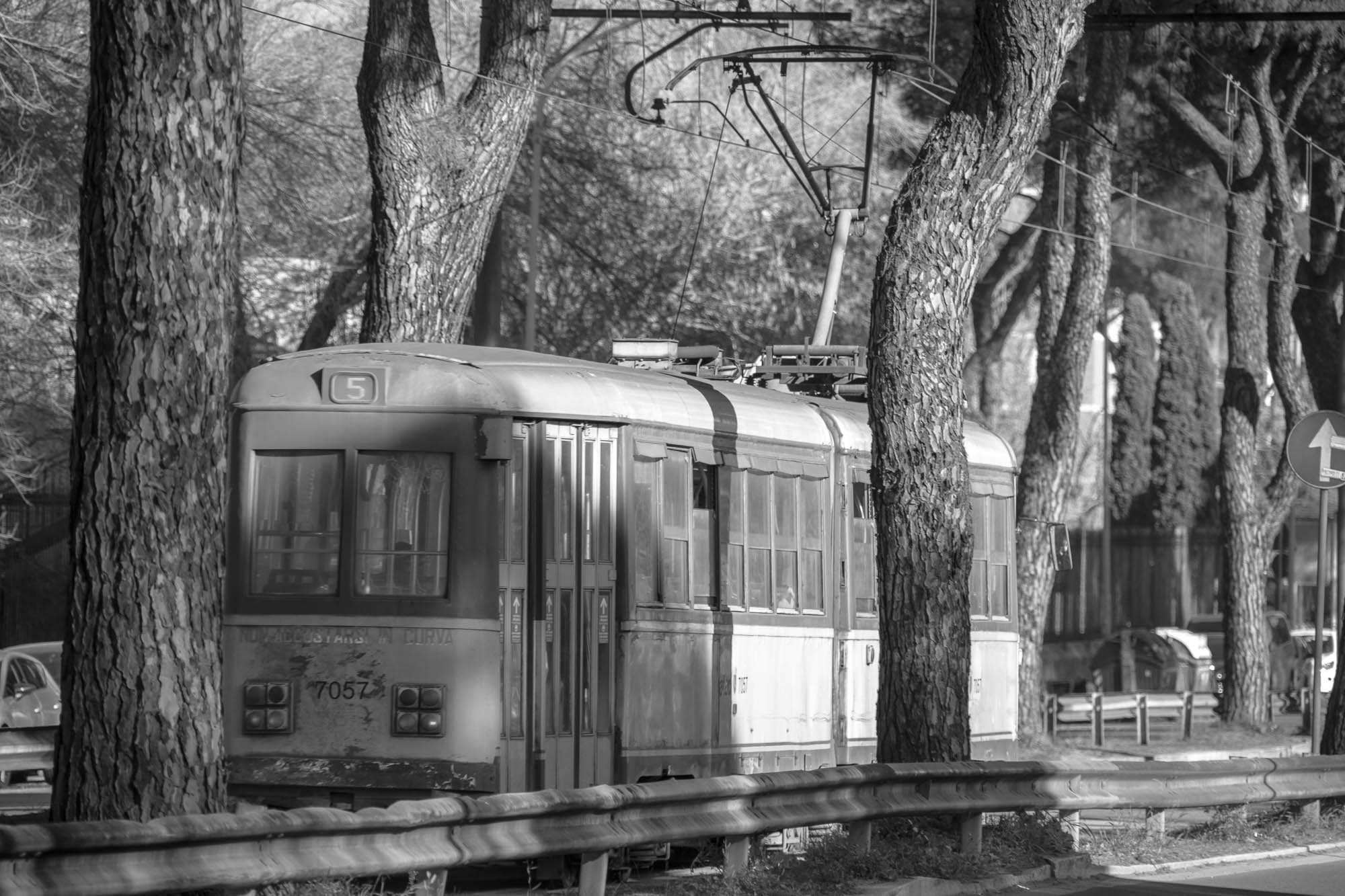 Tram a Roma (Italia)