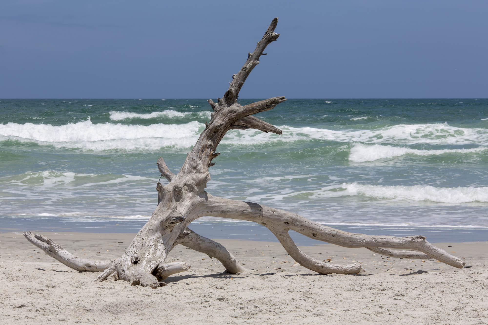 Little Talbot Island Park (USA)