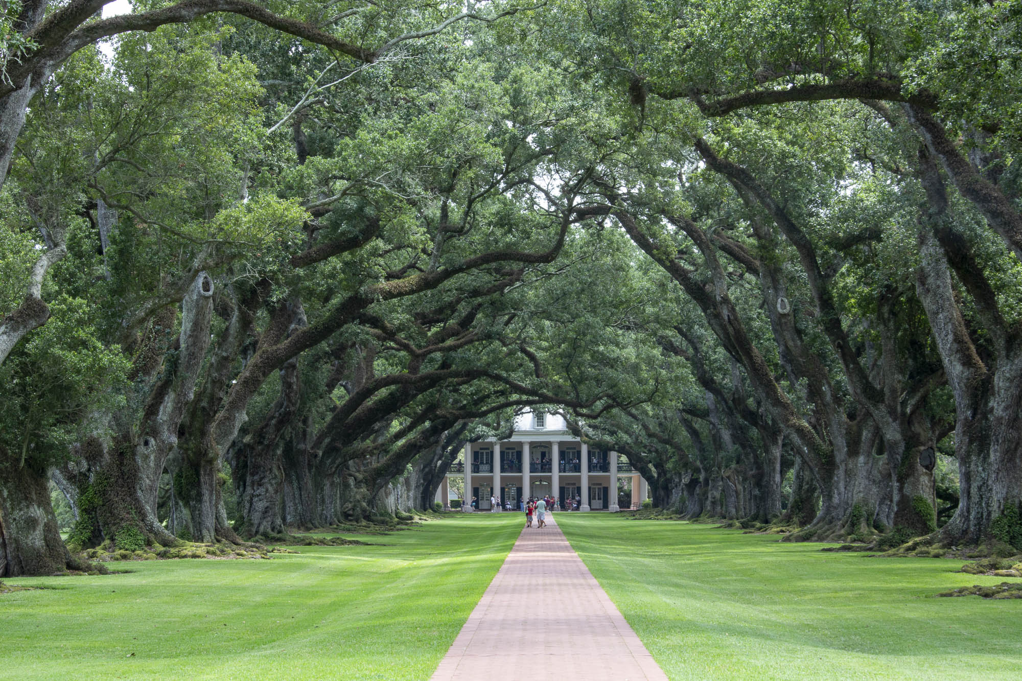 Oak Alley Plantation (USA)