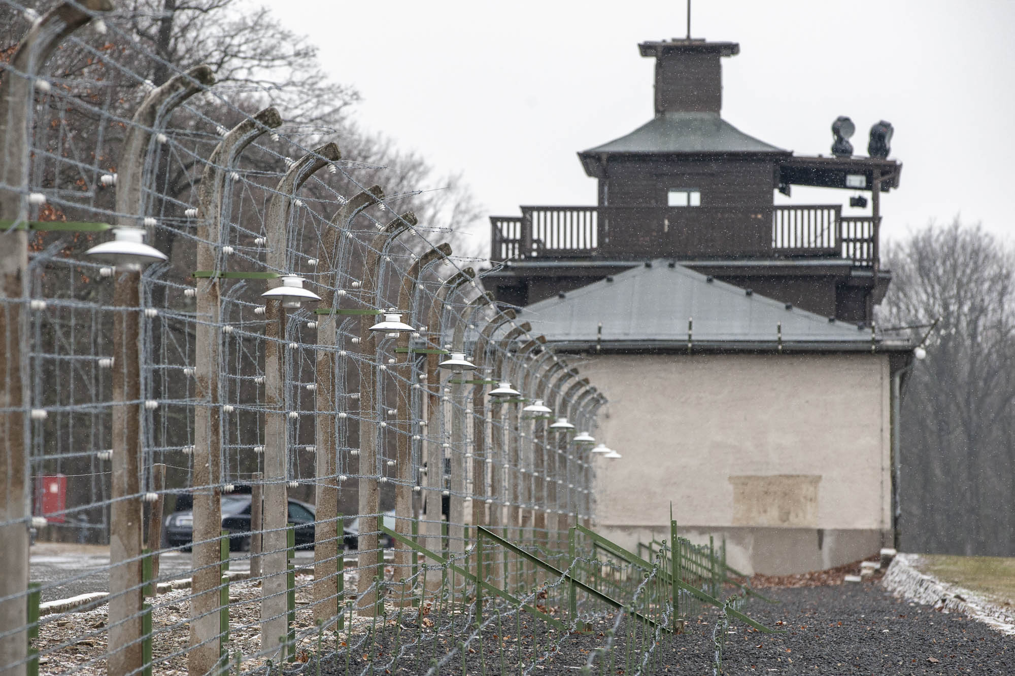 Buchenwald (Germania)